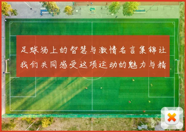 足球场上的智慧与激情名言集锦让我们共同感受这项运动的魅力与精神