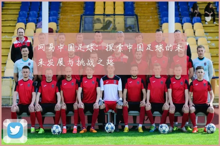 网易中国足球：探索中国足球的未来发展与挑战之路