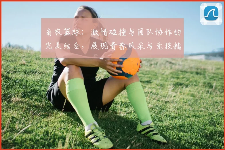 南农篮球：激情碰撞与团队协作的完美结合，展现青春风采与竞技精神