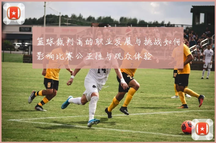 篮球裁判高的职业发展与挑战如何影响比赛公正性与观众体验