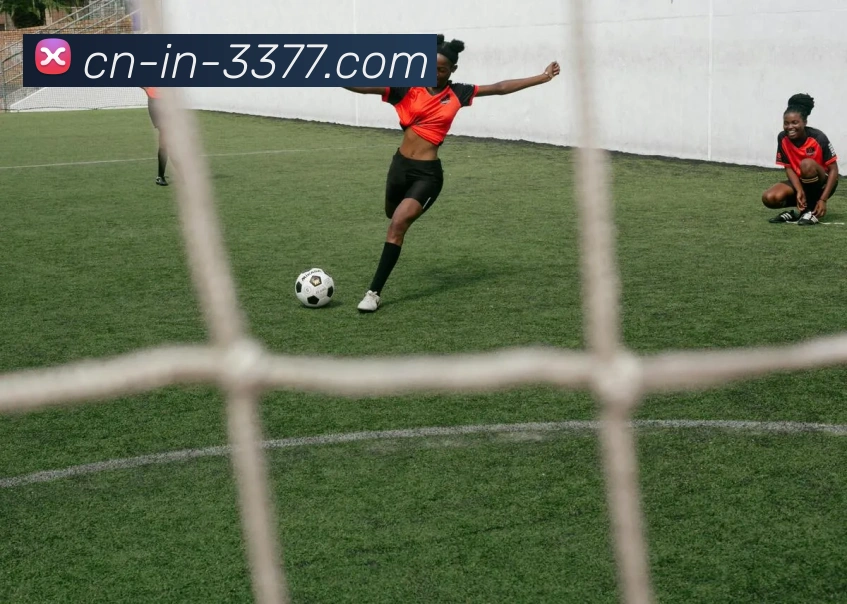 App Interface Preview