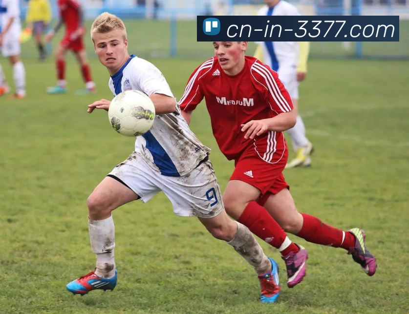 3377中国官方网站APP 封面图